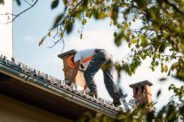Best Roof Replacement Cost  in Terrace Heights, WA